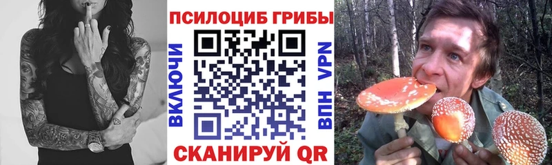 Галлюциногенные грибы GOLDEN TEACHER Рассказово